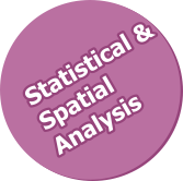 Statistical and Spatial Analysis
